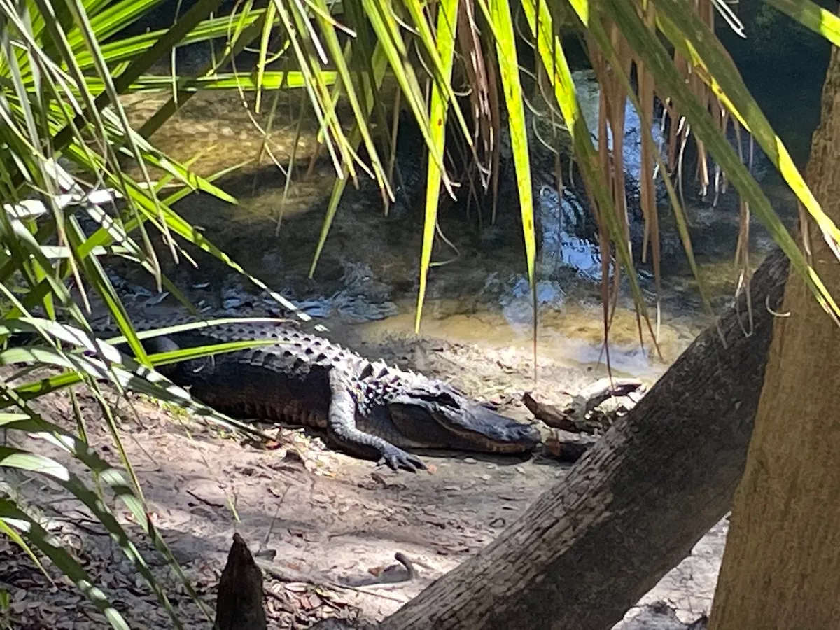 Coalition calls on Florida lawmakers to address $759 million backlog of state park repairs