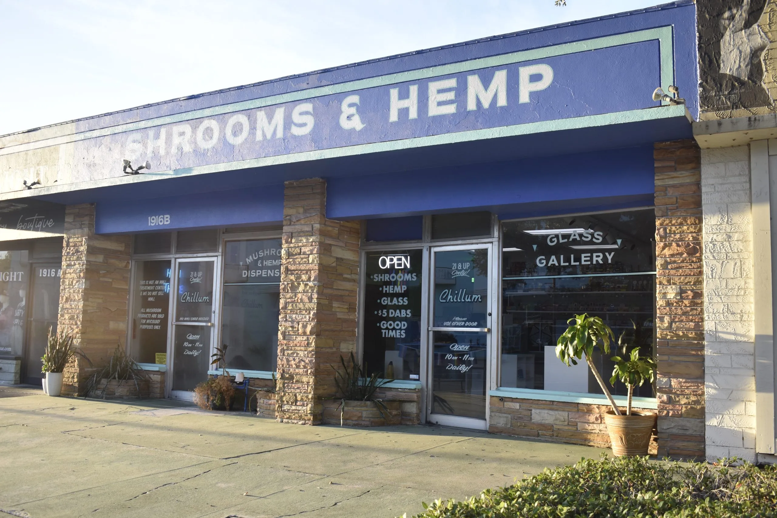 ‘Legal mushroom dispensary’ in St. Pete will close on Sunday