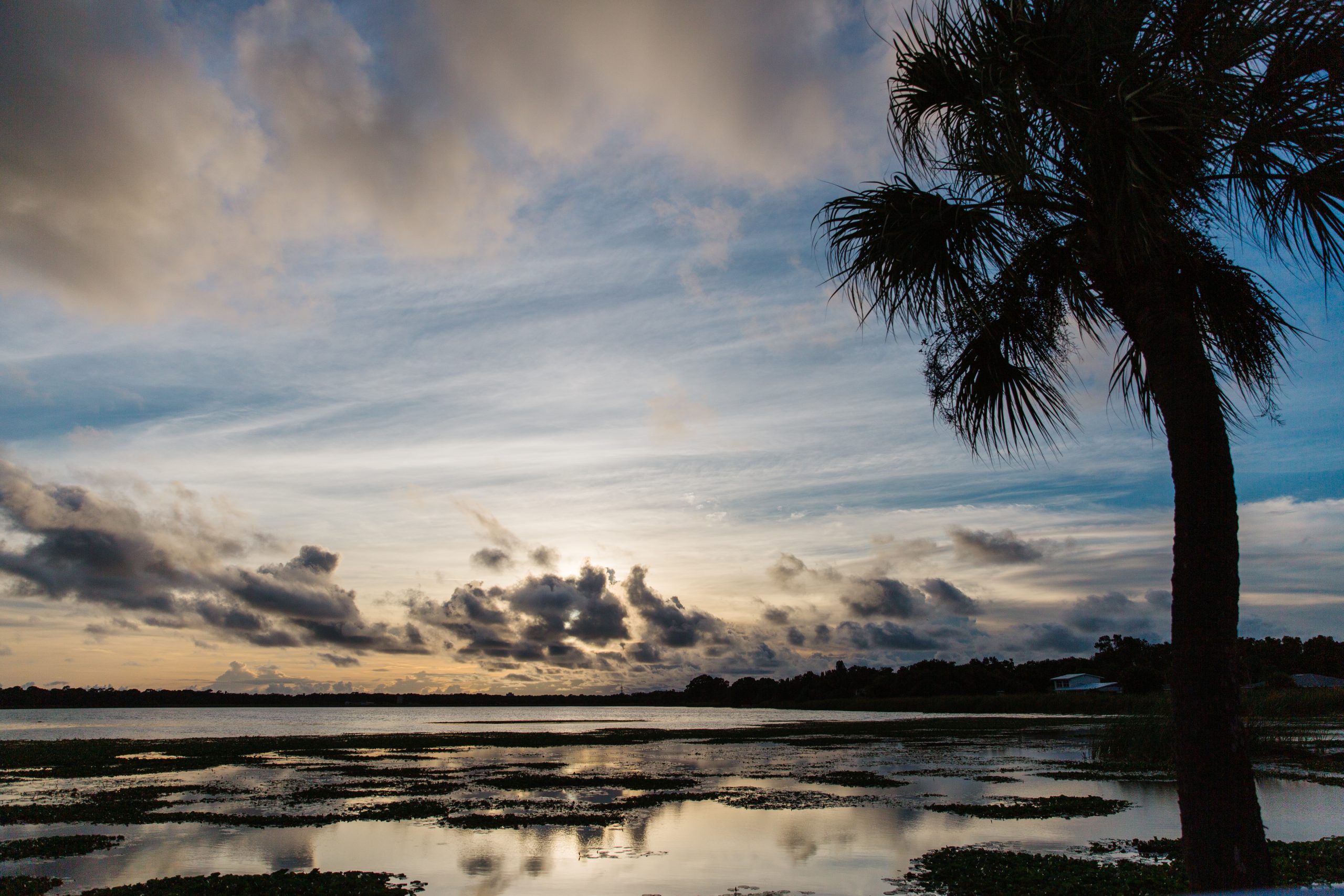 Creeks are vital to Florida’s ecosystem, but Tampa Bay area experts say we’ve largely stalled on measuring their health