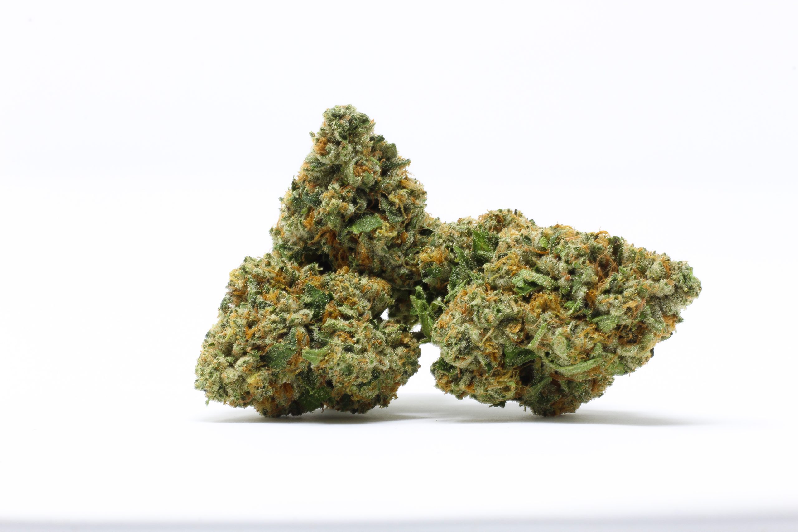 Just one candidate running for Florida governor supports recreational marijuana
