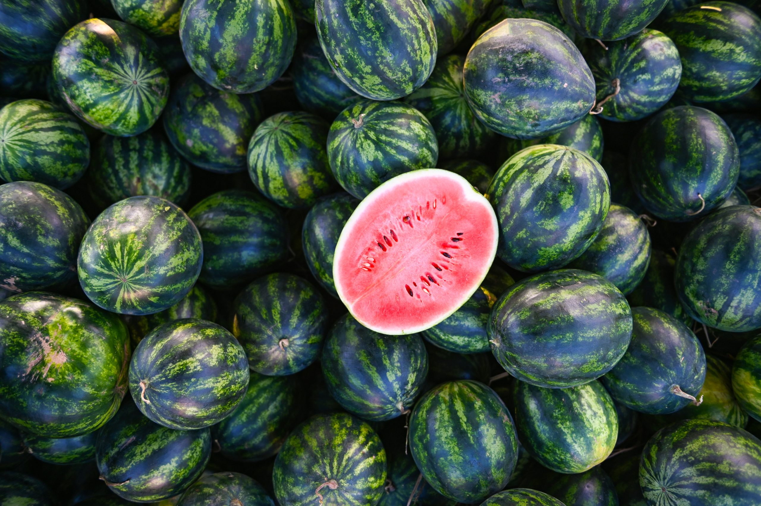 Brooksville Watermelon Festival returns next week